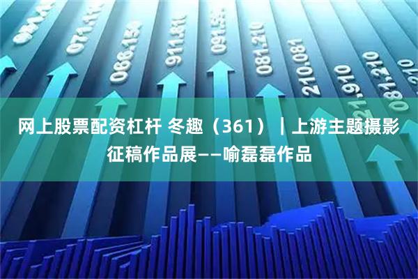 网上股票配资杠杆 冬趣（361）｜上游主题摄影征稿作品展——喻磊磊作品